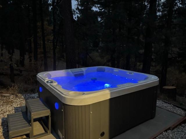 Snow Bunny Lodge - Perfect Big Bear Getaway! Deck With A New Hot Tub And Charcoal Barbecue! Lac Big Bear Extérieur photo